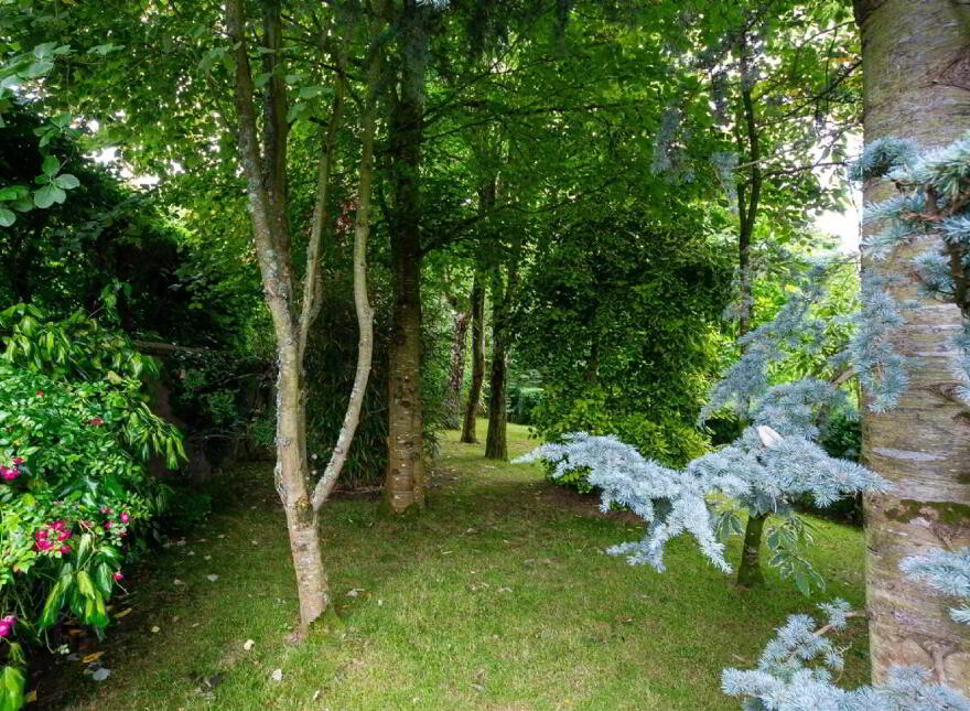 Bank House, Main Street, Doneraile, P51VYY9