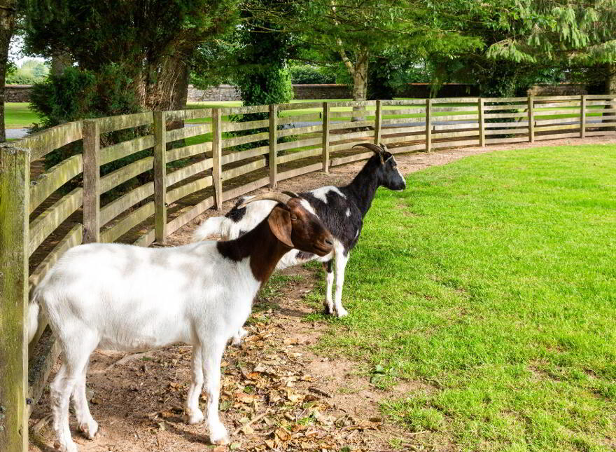 Ballintoher House, Ballintoher, Nenagh, E45TX68