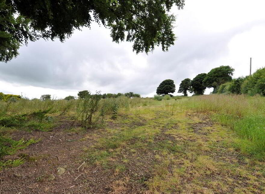 Ballysimon, Monageer, Y21YH29