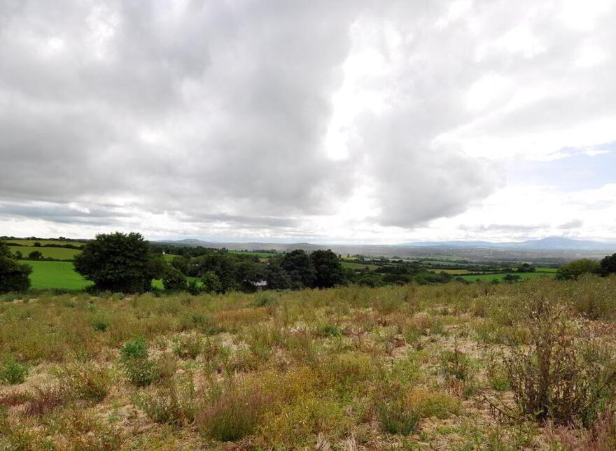 Ballysimon, Monageer, Y21YH29