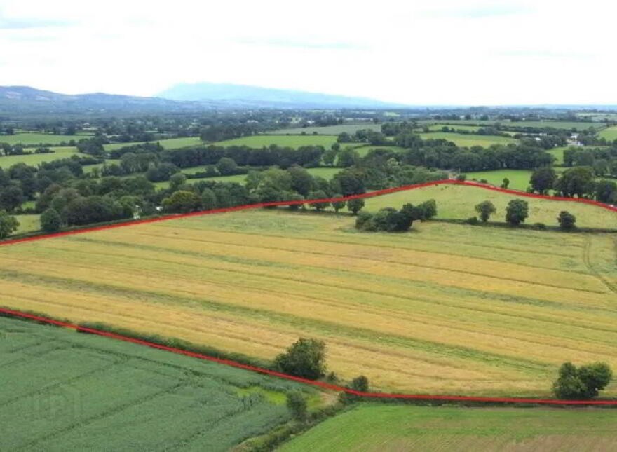 Non Residential Farm Holding, Park, North, Doneraile