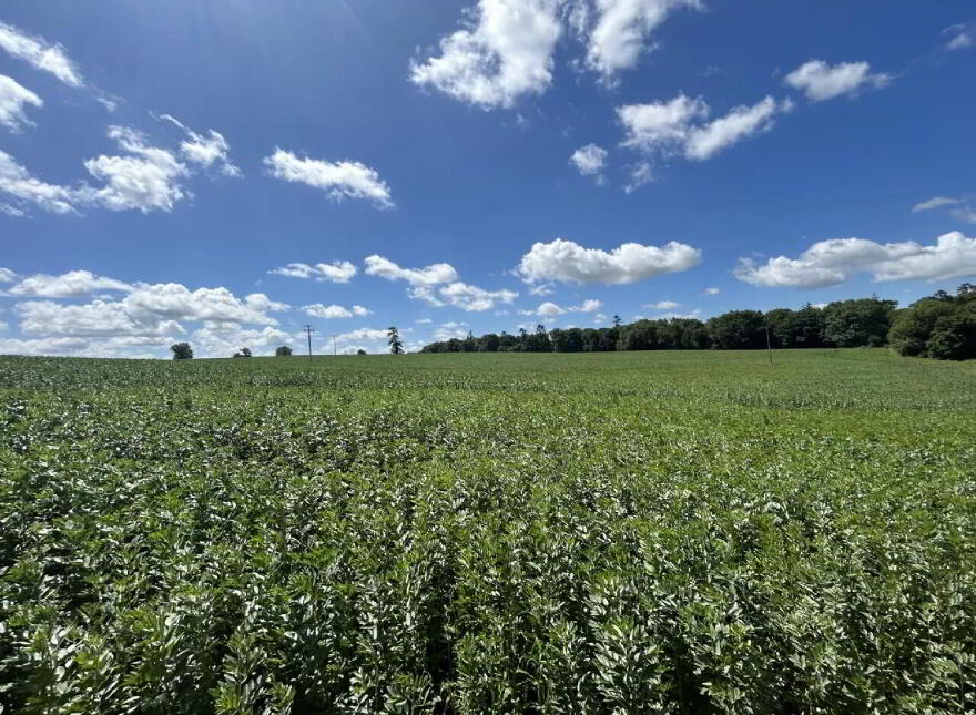 Non Residential Farm Holding, Park, North, Doneraile