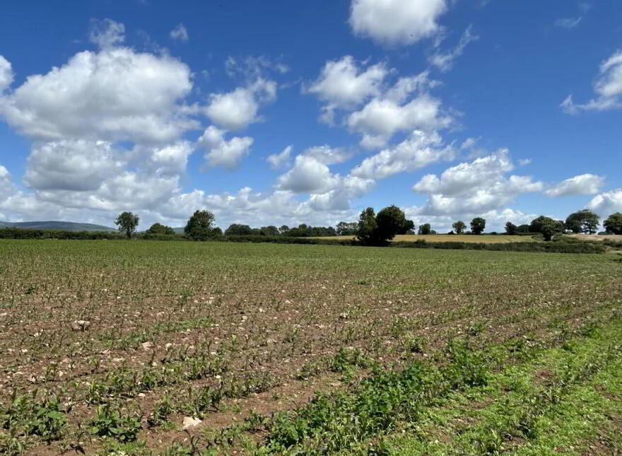 Non Residential Farm Holding, Park, North, Doneraile