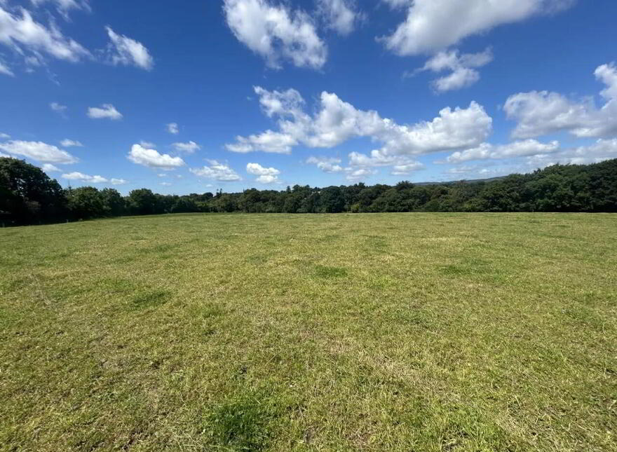 Non Residential Farm Holding, Park, North, Doneraile
