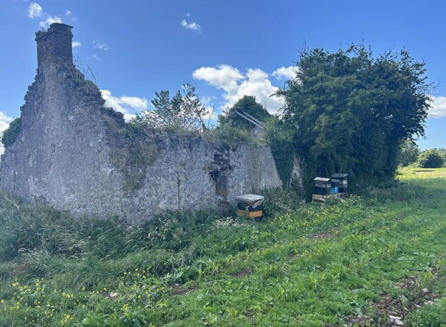 Non Residential Farm Holding, Park, North, Doneraile