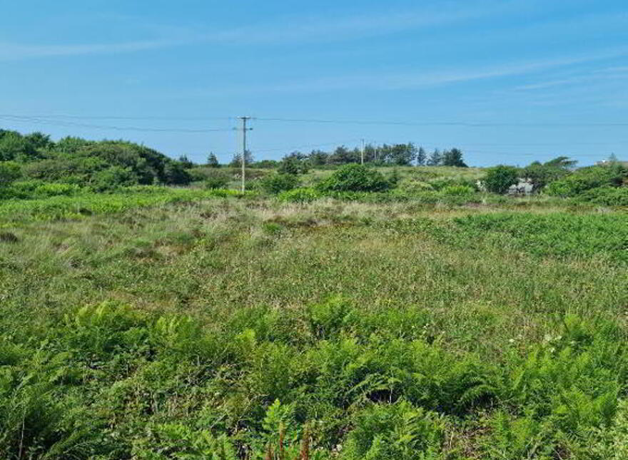 Saltpans, Maghery
