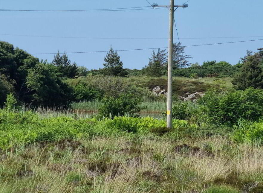 Saltpans, Maghery
