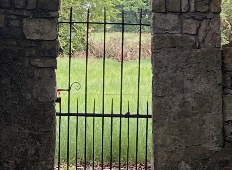The Glebe, Nantenan, Askeaton