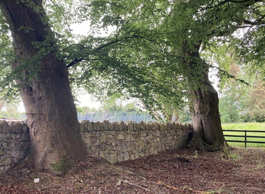 The Glebe, Nantenan, Askeaton
