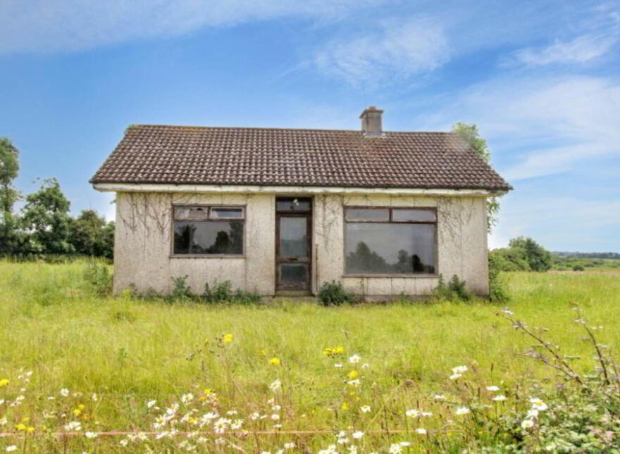 Drumnamahane, Borrisokane, Nenagh photo