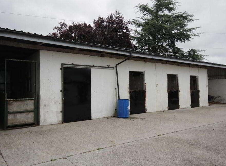 Ballagh, Errill, Laois, R32WC96