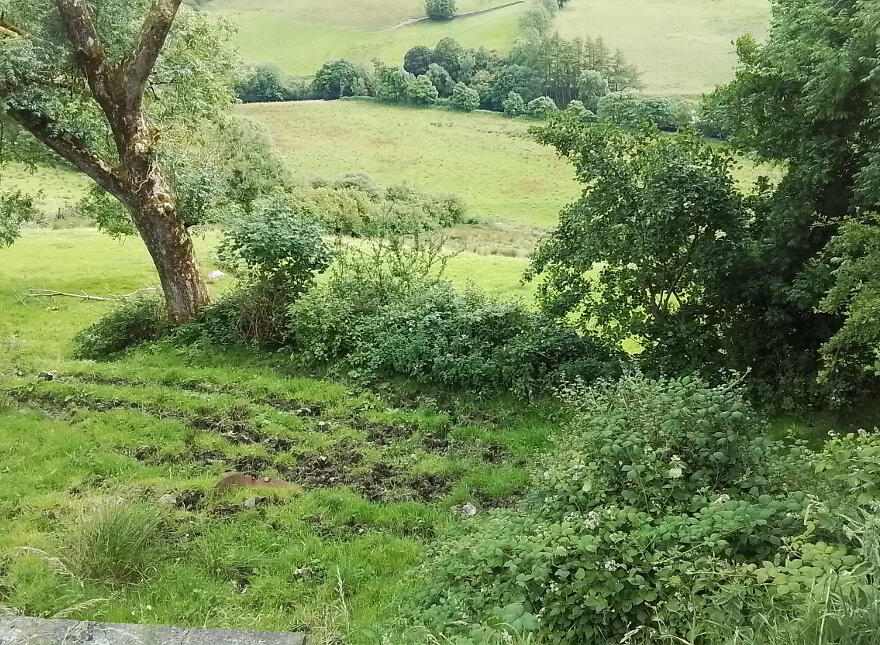 Glenelly Road, Plumbridge, Omagh