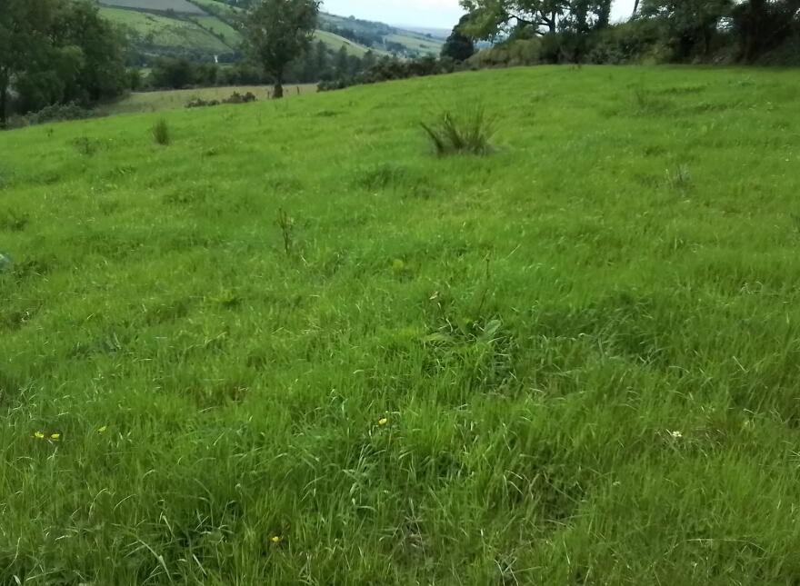 Glenelly Road, Plumbridge, Omagh
