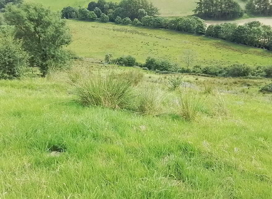 Glenelly Road, Plumbridge, Omagh