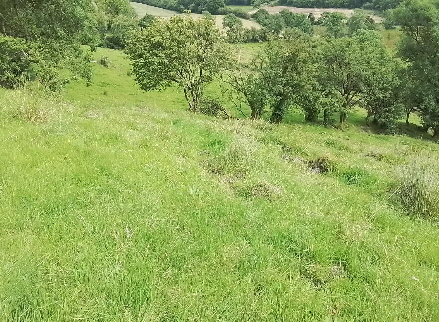 Glenelly Road, Plumbridge, Omagh