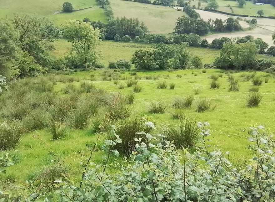Glenelly Road, Plumbridge, Omagh