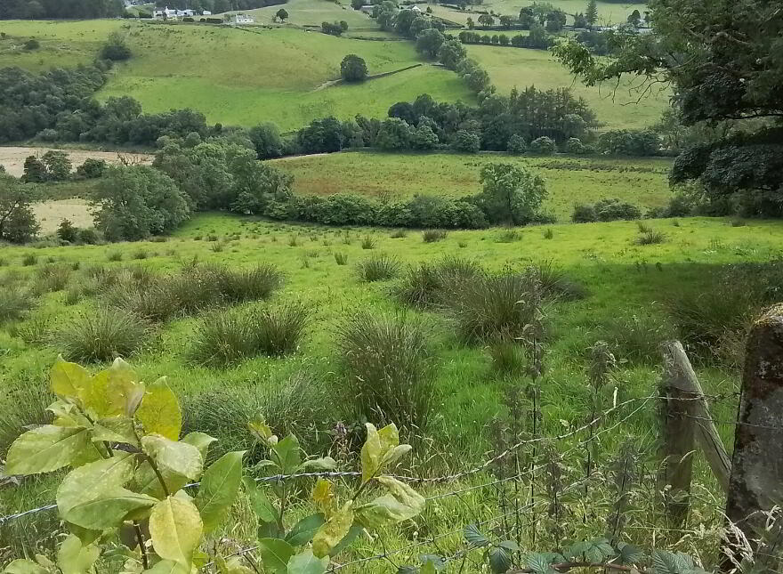 Glenelly Road, Plumbridge, Omagh