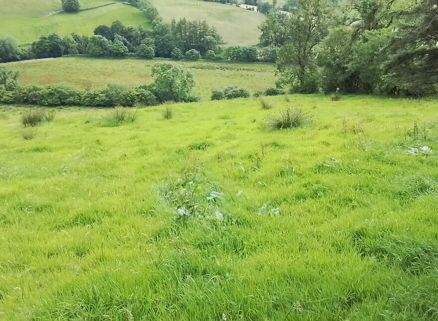 Glenelly Road, Plumbridge, Omagh