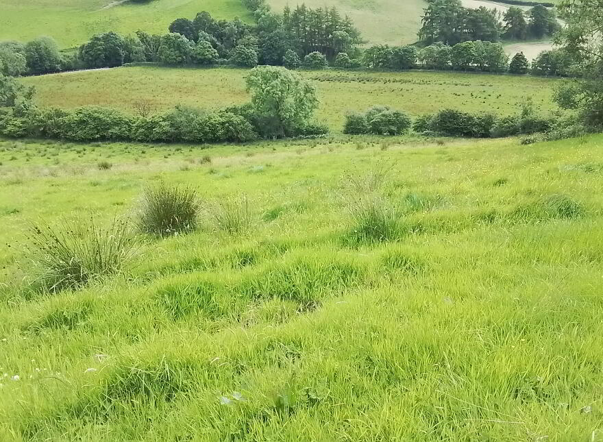 Glenelly Road, Plumbridge, Omagh