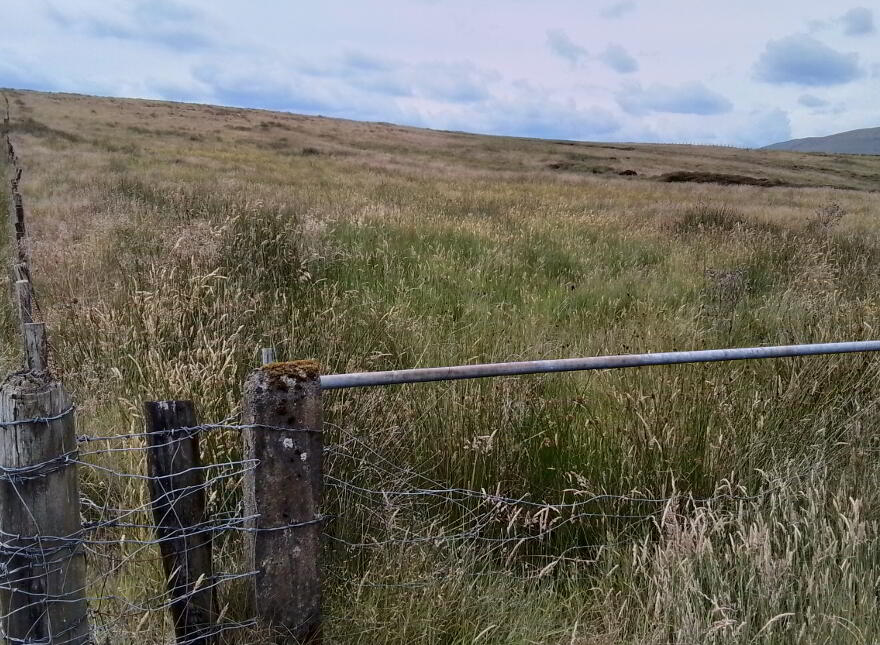 Glenelly Road, Plumbridge, Omagh