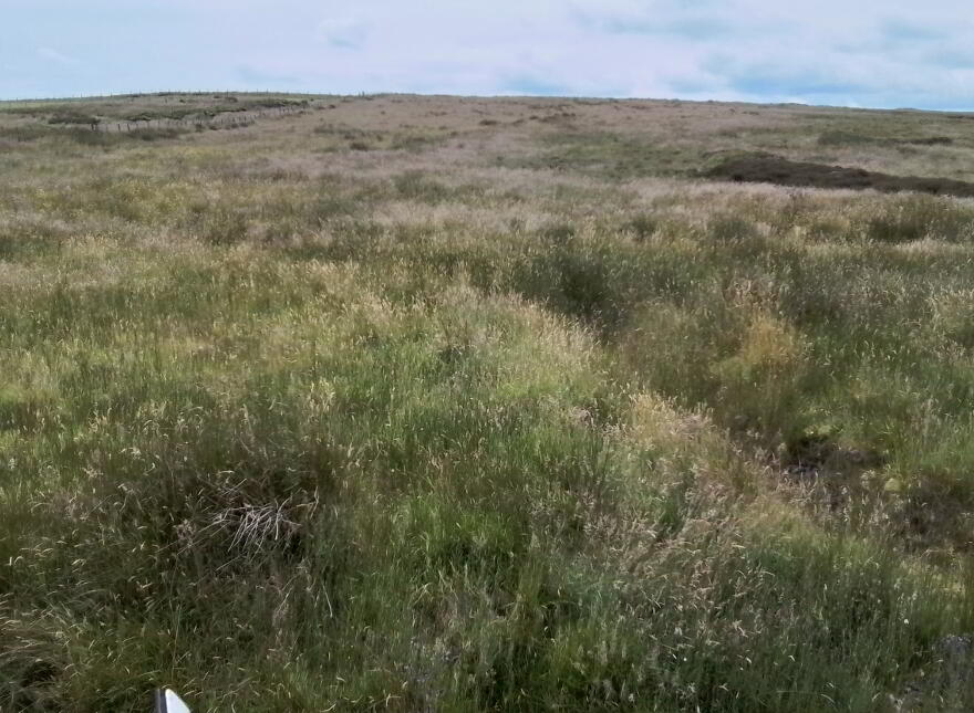 Glenelly Road, Plumbridge, Omagh