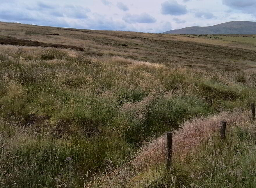 Glenelly Road, Plumbridge, Omagh