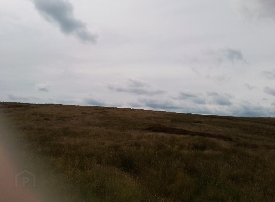 Glenelly Road, Plumbridge, Omagh