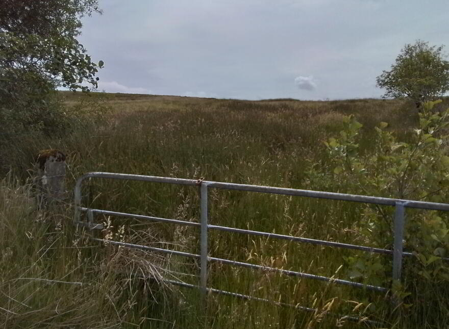 Glenelly Road, Plumbridge, Omagh