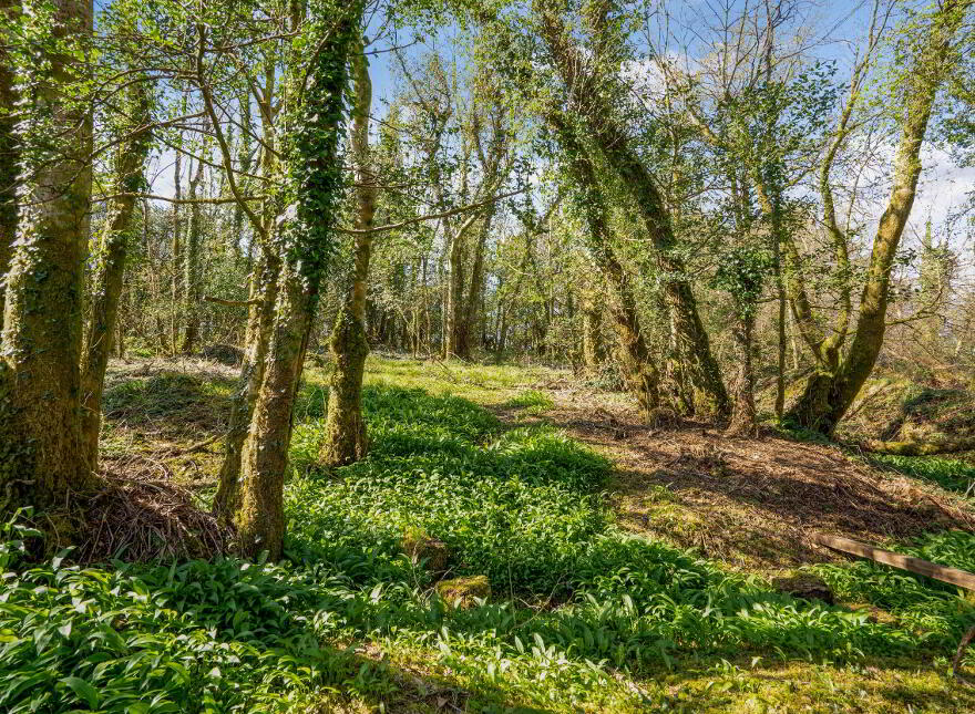 The Rectory, Lough Eske, Barnesmore, F94RCY8