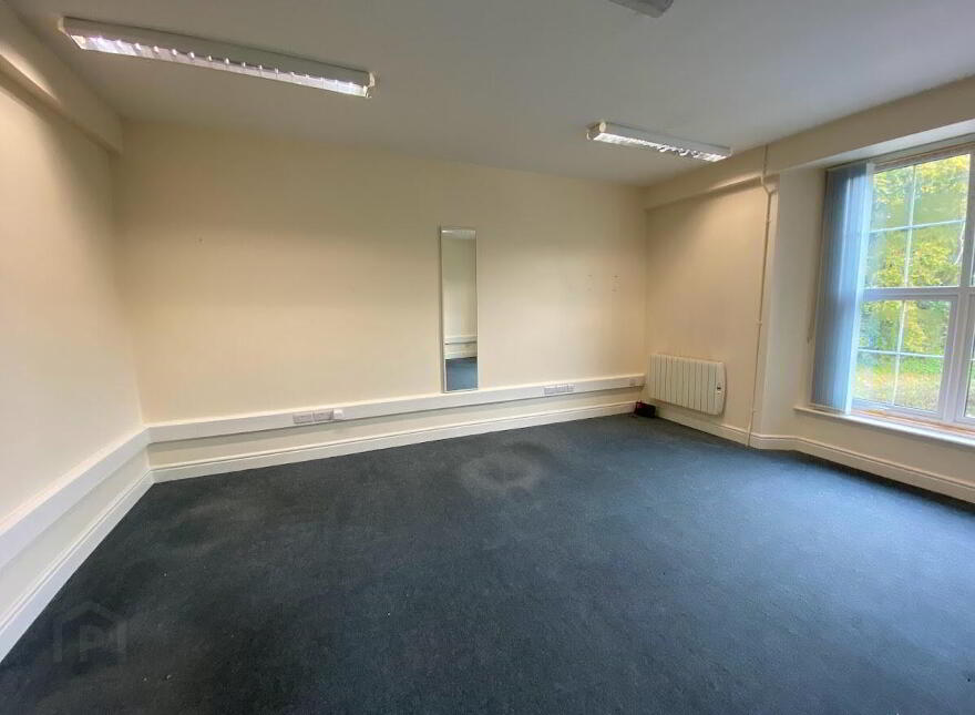 Ballycasey House, Shannon