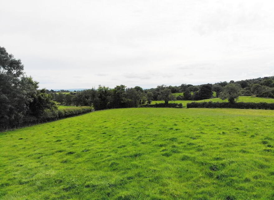 Fecarry Road, Omagh, BT79 7NL