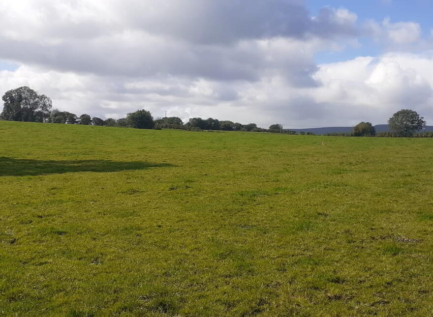 Site App 50m NE Of 42, Ballymacilcurr Road, Maghera, BT46 5HR