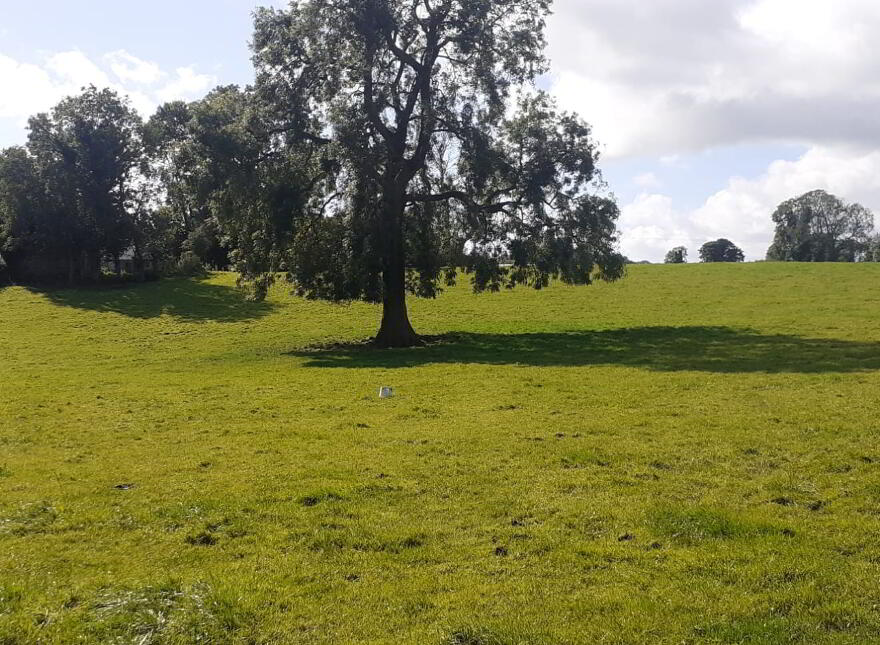 Site App 50m NE Of 42, Ballymacilcurr Road, Maghera, BT46 5HR