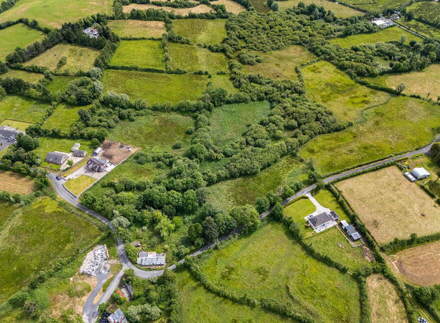 Lands, At Cloonfeacle, Folio, Carrick-On-Shannon, N41