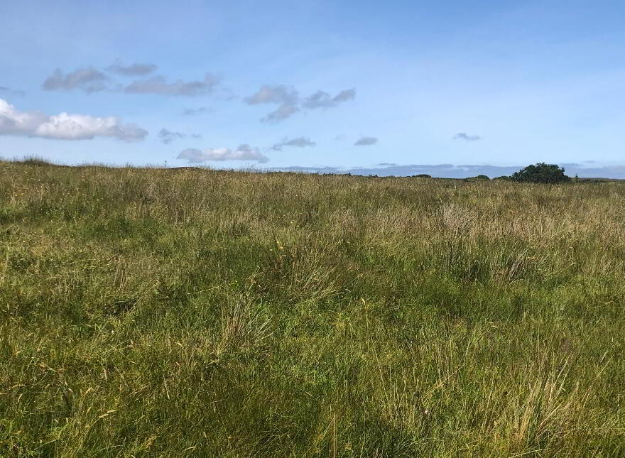 Meenderry, Falcarragh