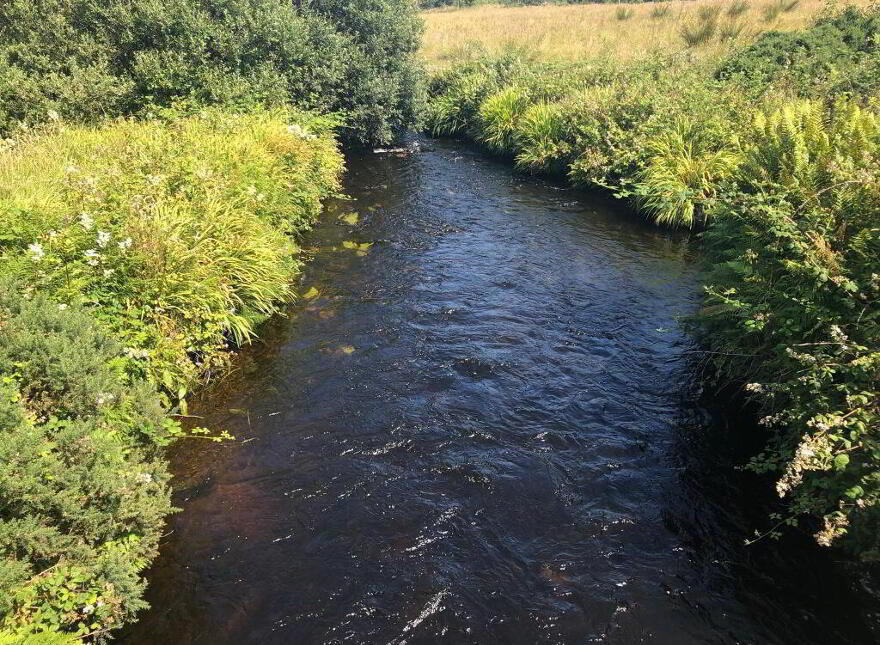 Meenderry, Falcarragh