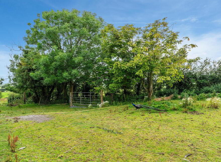 Ashvale, 3 Ballydoonan Road, Greyabbey, Newtownards, BT22 2LP