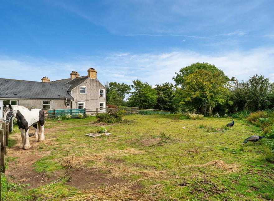 Ashvale, 3 Ballydoonan Road, Greyabbey, Newtownards, BT22 2LP