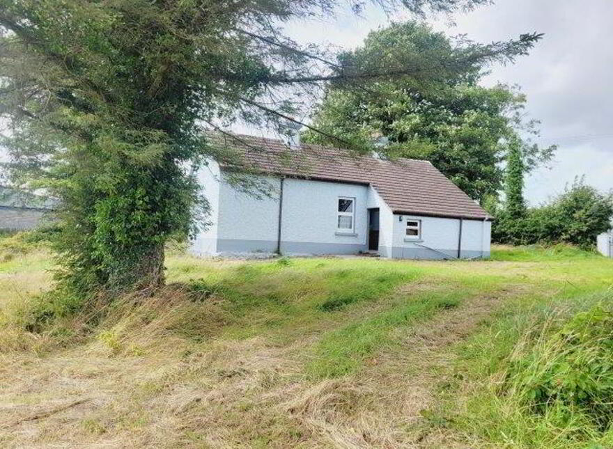 Tawnyfeacle, Toothfield, Manorhamilton, F91H9C7 photo