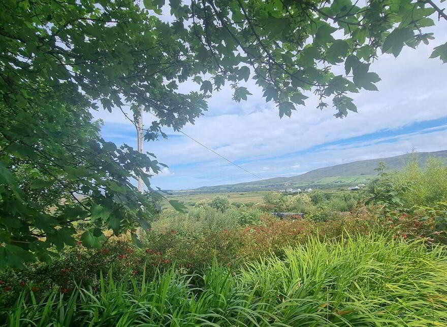 Garryglass, Caherciveen, Ballinskelligs, V23CD73