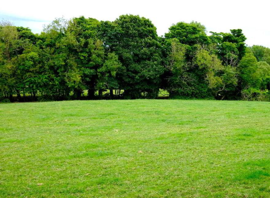 APPROXIMATELY 21 ACRES OF LAND, Adjoing, 27 Lambeg Road, Lisburn, BT27 4QB