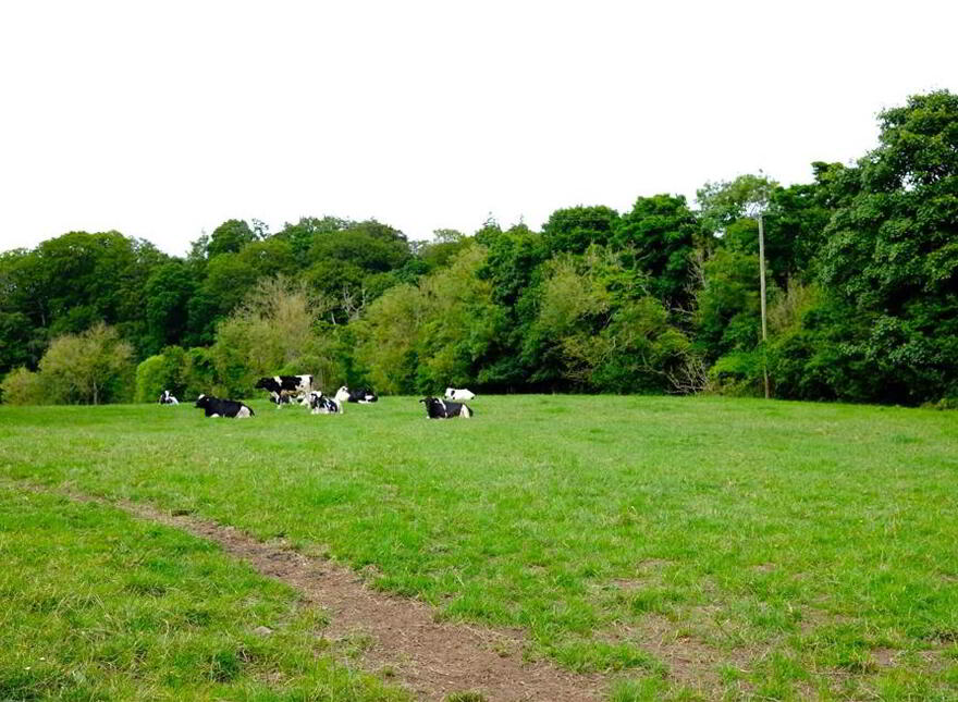 APPROXIMATELY 21 ACRES OF LAND, Adjoing, 27 Lambeg Road, Lisburn, BT27 4QB