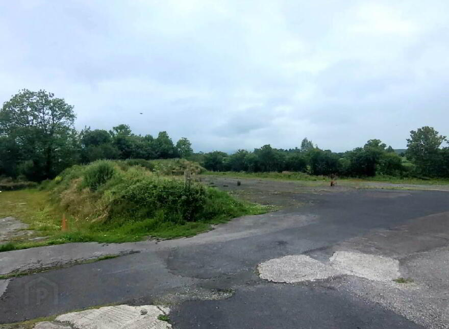 The Red Deere, & Adjoining Properties, Garranbeg, Pallasgreen
