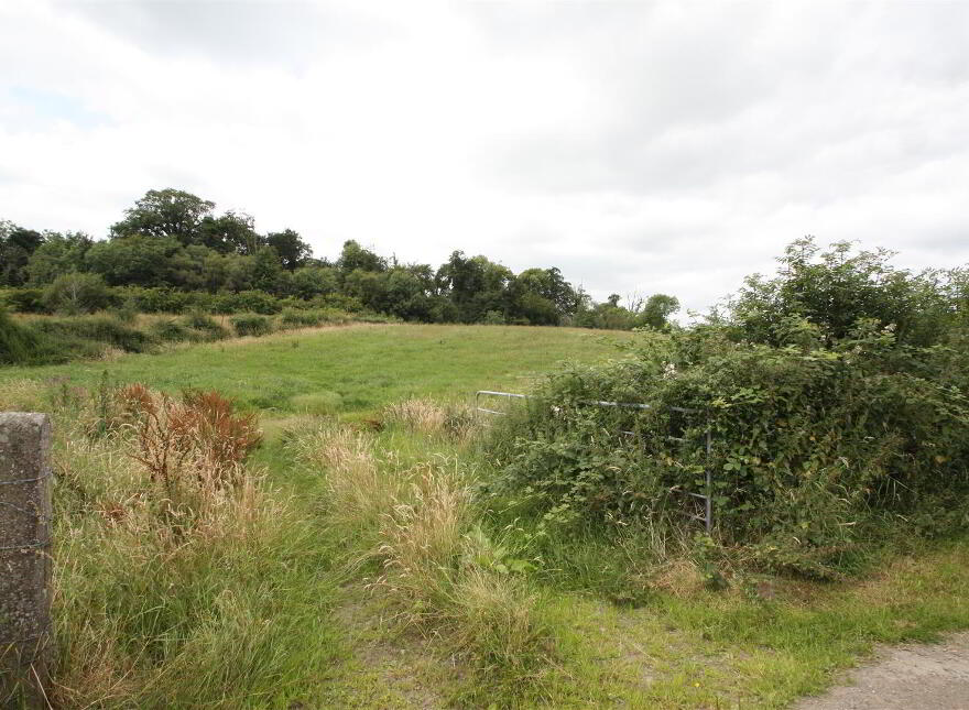 Land Adj To, 136 Monlough Road, Saintfield, BT24 7EU photo