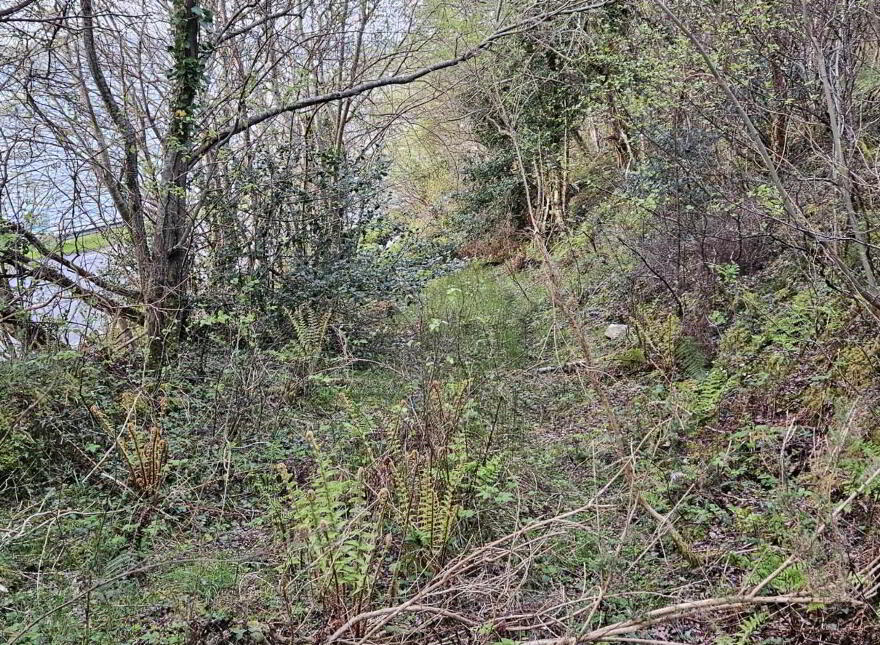Kerrykeel Road, Milford