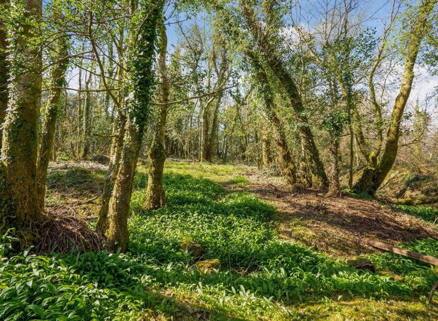 The Rectory, Drumnacally, Barnesmore, F94RCY8