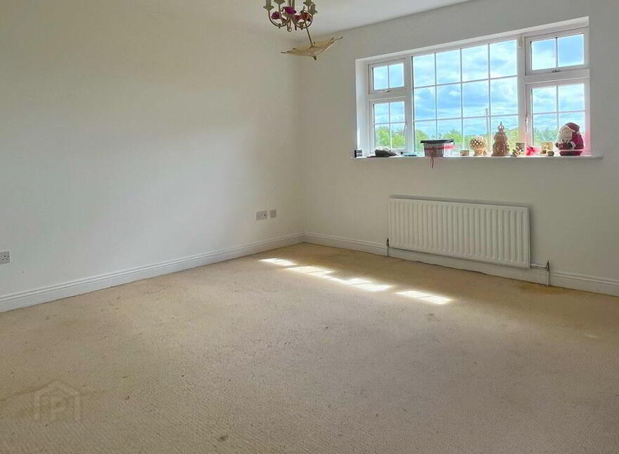 Wood Of O, Tullamore, Offaly, R35W3F9