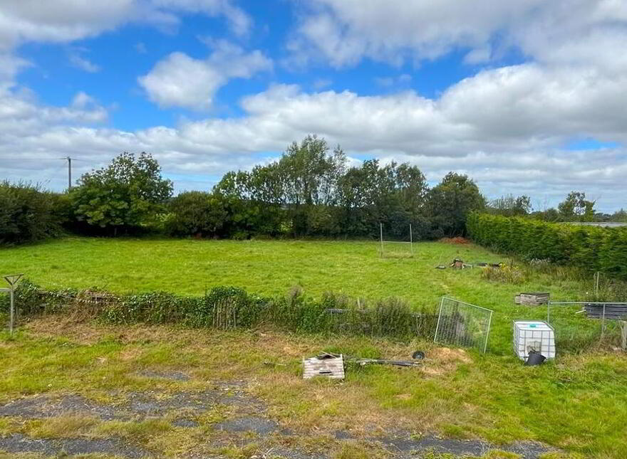 Wood Of O, Tullamore, Offaly, R35W3F9