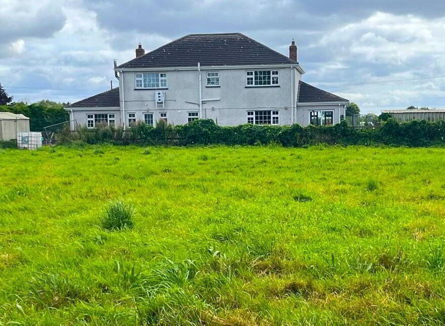Wood Of O, Tullamore, Offaly, R35W3F9