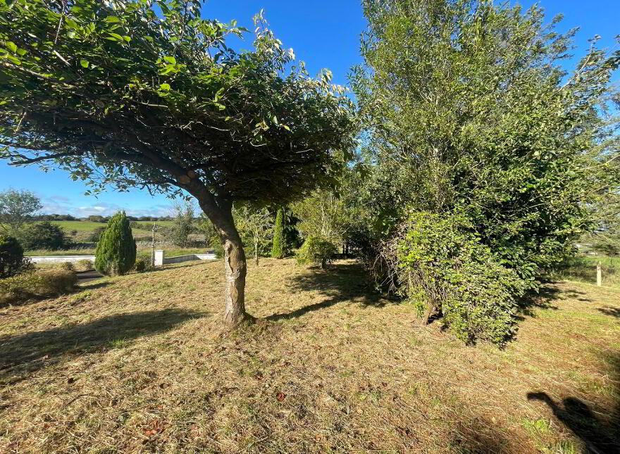 Clashaganny, Tulsk, Castlerea, F45FC61
